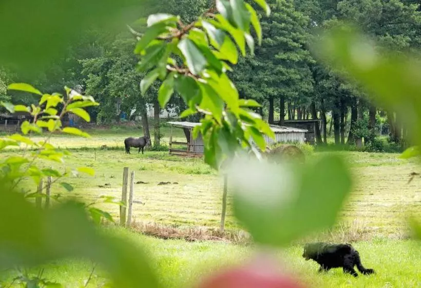 ホテル Ferienwohnungen Auf Dem Pommernhof