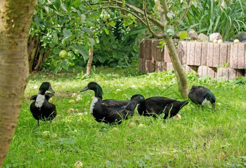 酒店 Ferienwohnungen Auf Dem Pommernhof