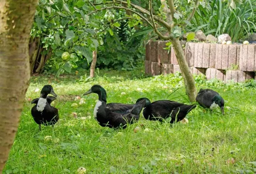ホテル Ferienwohnungen Auf Dem Pommernhof
