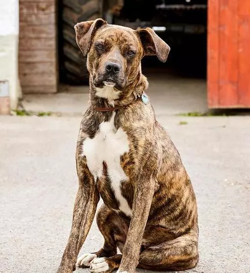Pension Haus Am Einberg