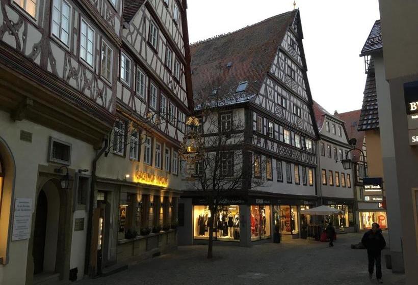 הוסטל Brauereigasthof Krone öhringen