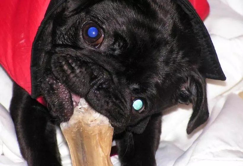 Majatalo Bauer Schmidt Weilerbach Bauer`s Budget