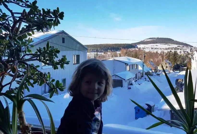 ペンション Gastehaus Hutweide