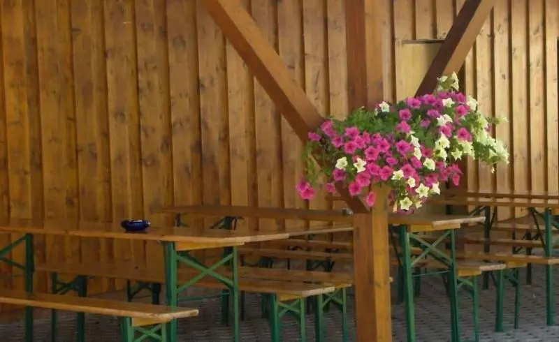 ペンション Gastehaus Hutweide