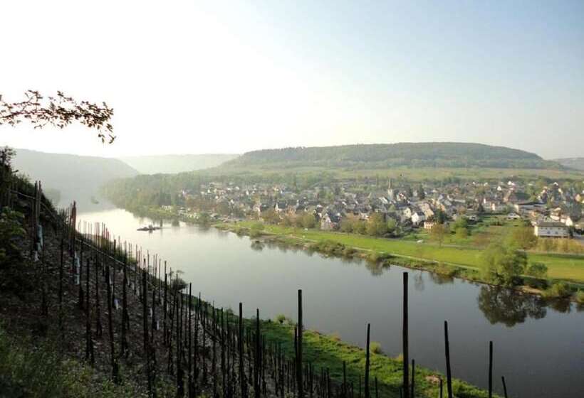 פנסיון Wein & Wohngut Paulushof