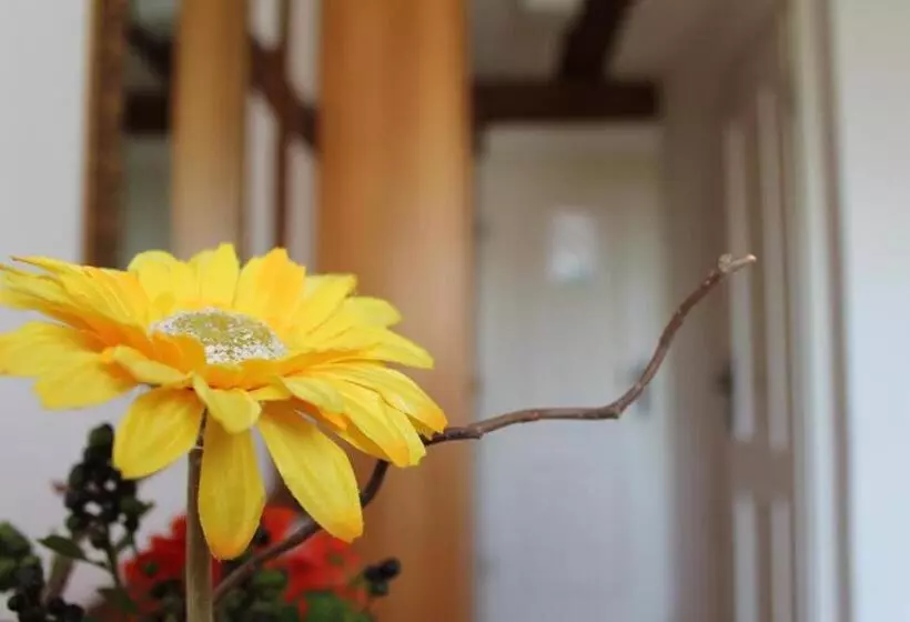 Pension Pastoriushaus