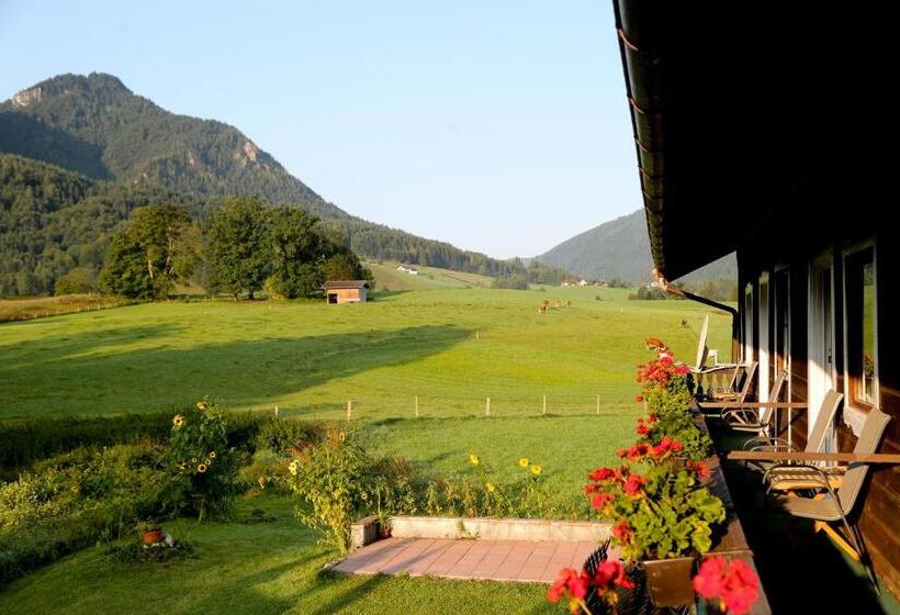 Pension Rauschberghof