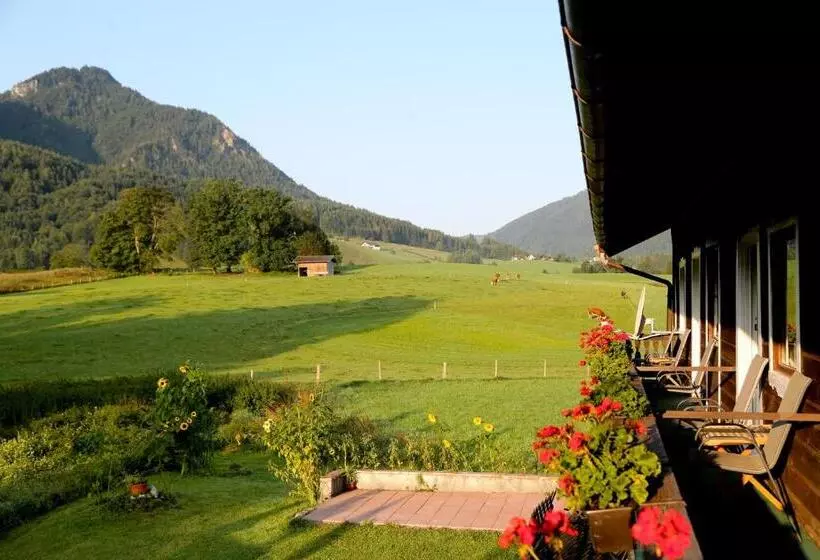 Pension Rauschberghof