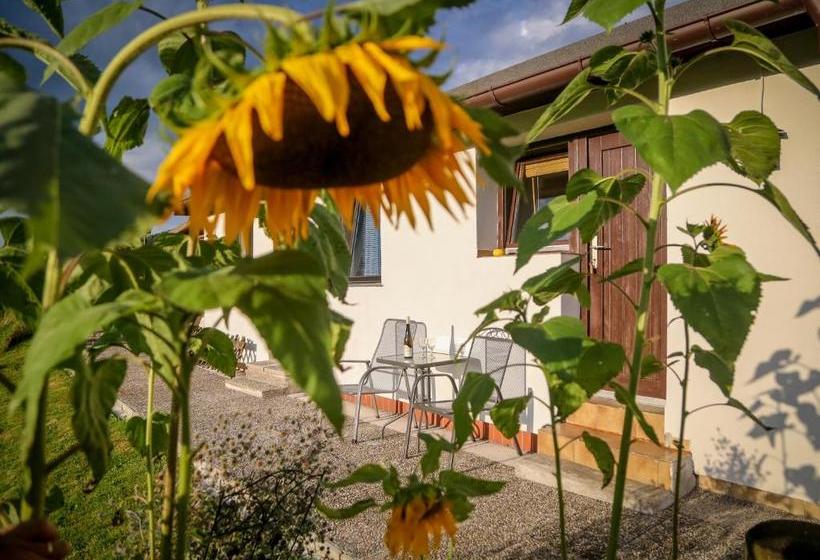 Pension Rauschberghof