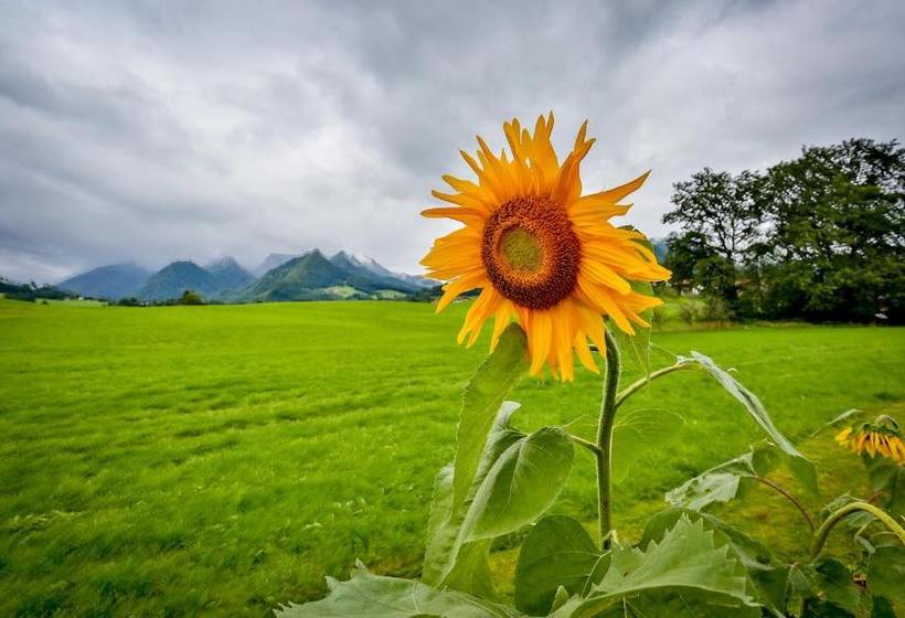 Pension Rauschberghof