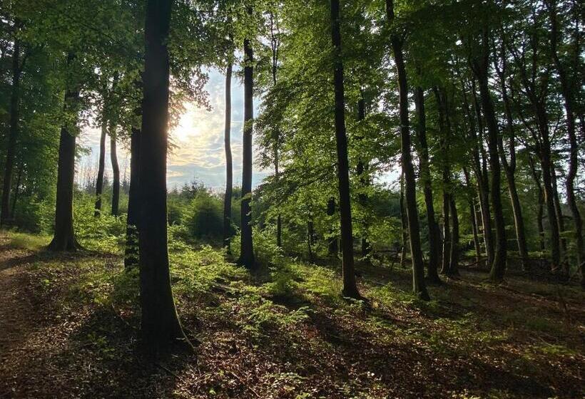 Frühstückspension Zur Krone