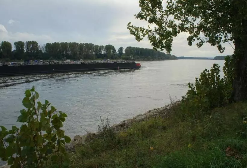 ペンション Alte Schreinerei Boutique