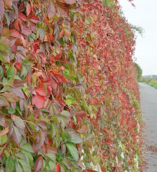 פנסיון Alte Schreinerei Boutique