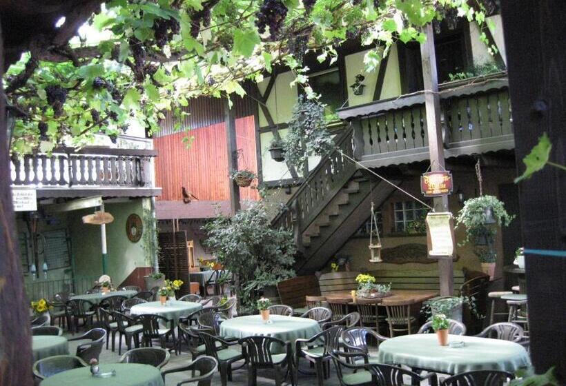 Pensão Weingut Franz Schäfer