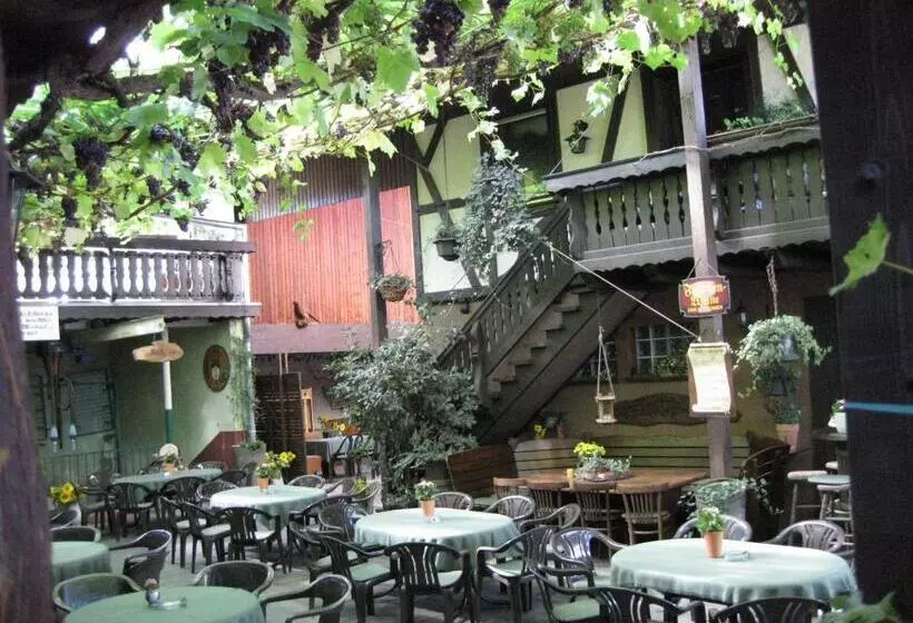 پانسیون Weingut Franz Schäfer