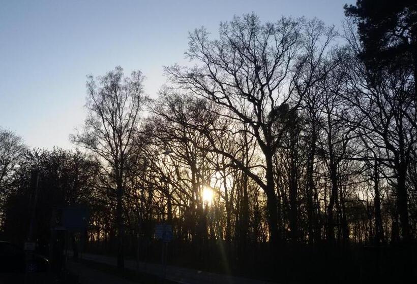 Pension Fürst Borwin