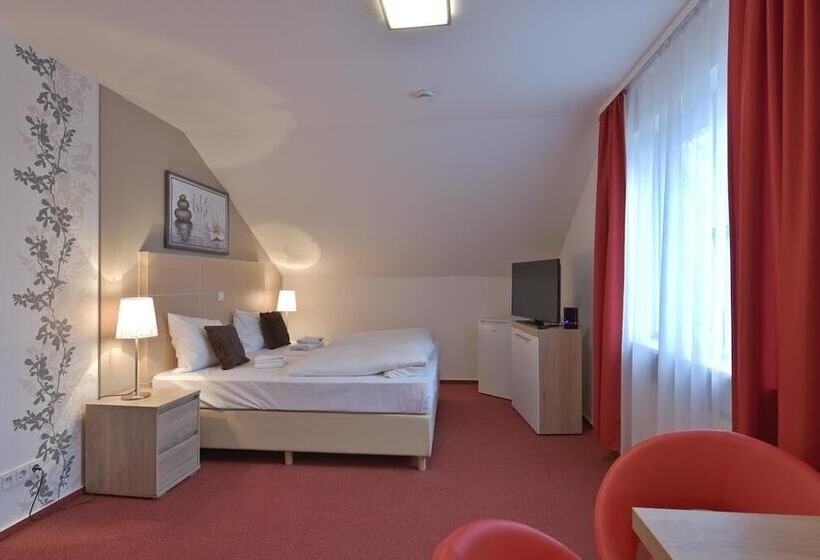 بنسيون Alt Finthen