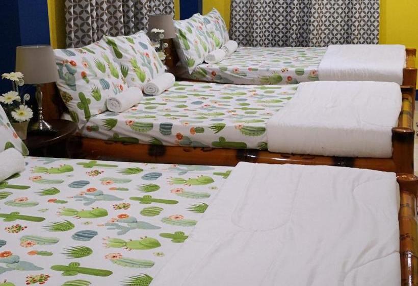 הוסטל Prosperity Inn