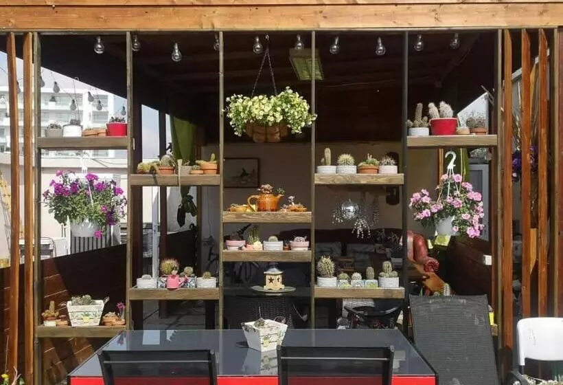 ホテル Dream Resort