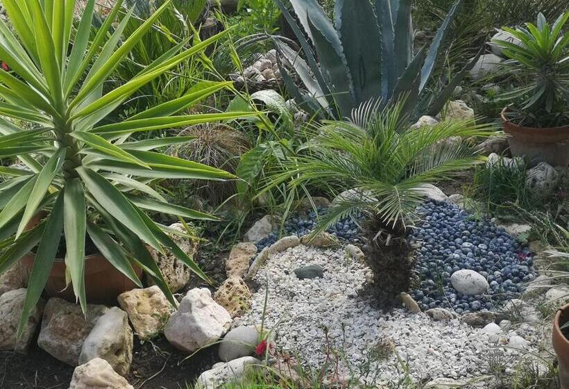 ホテル Dream Resort