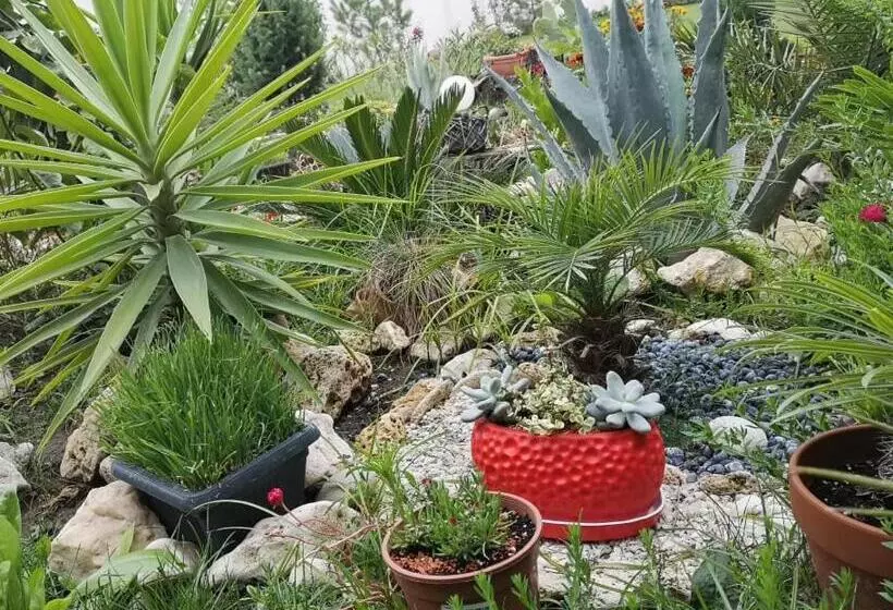 ホテル Dream Resort