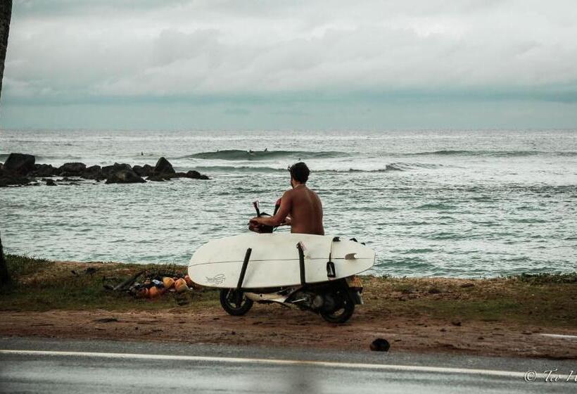 פנסיון Lotus Surf House