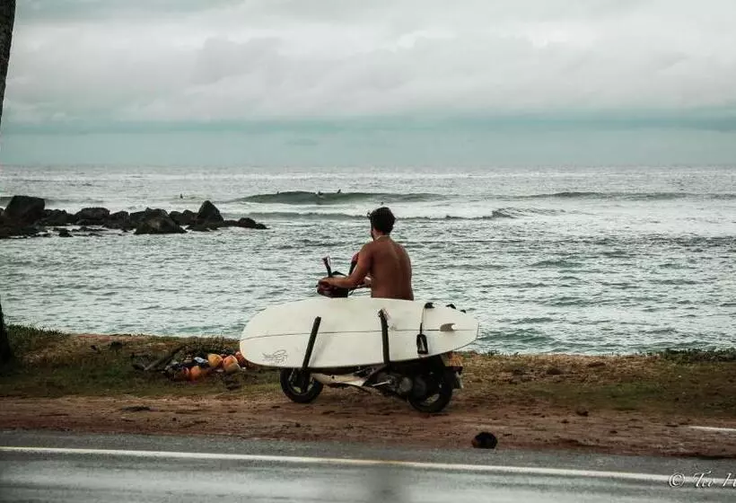 Majatalo Lotus Surf House