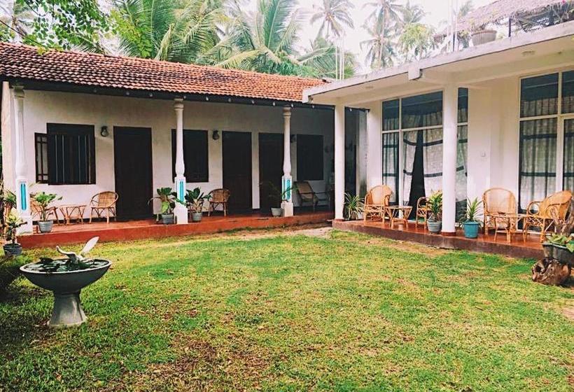 פנסיון Lotus Surf House