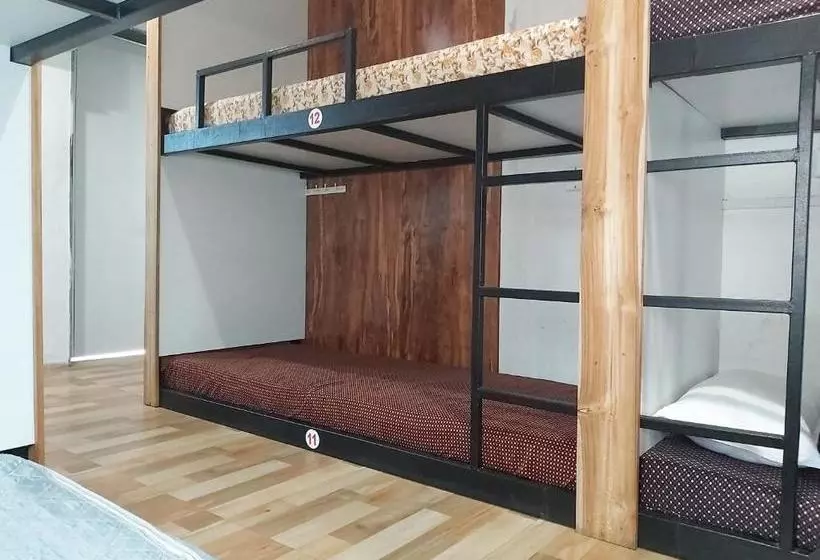 Cămin Arya Dormitory