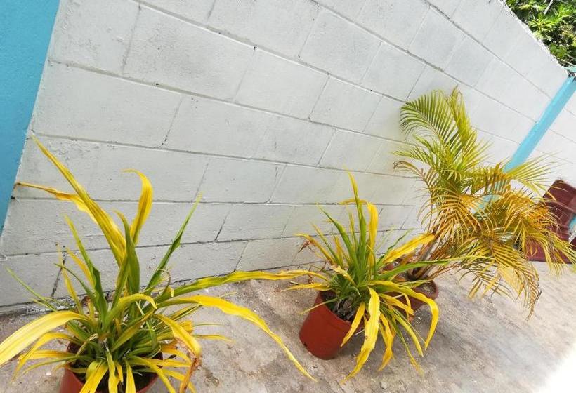 هاستل Presidents Inn Trinidad