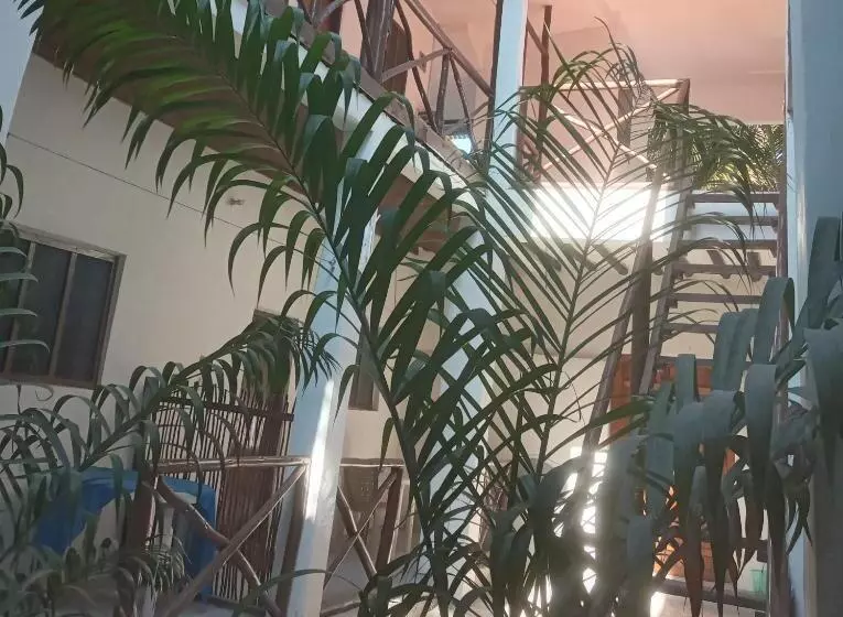 ペンション New Iddi Villa