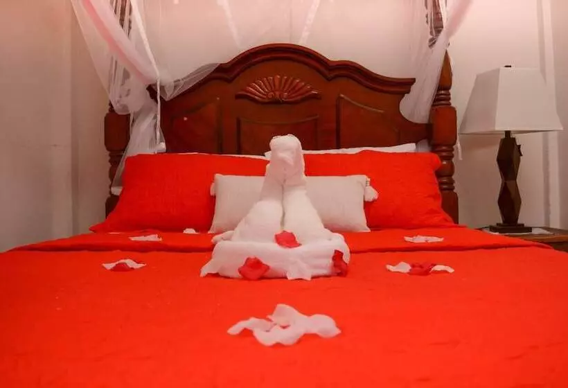 پانسیون Church Street Guest House