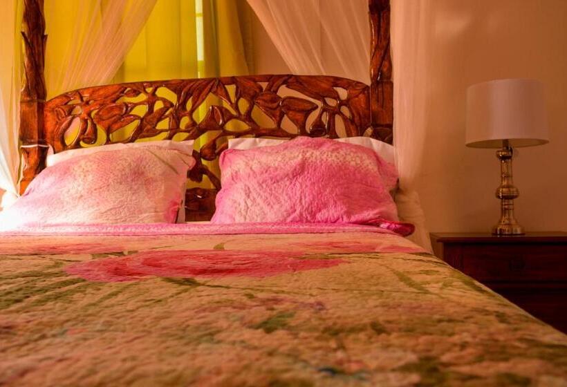 پانسیون Church Street Guest House