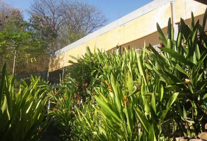 پانسیون Manta Manta Guesthouse