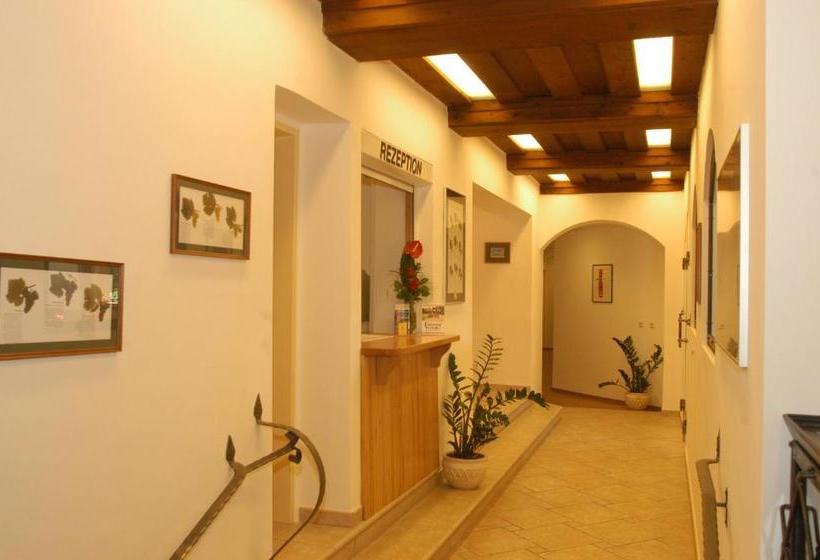 Weingut Pension Stockingerhof