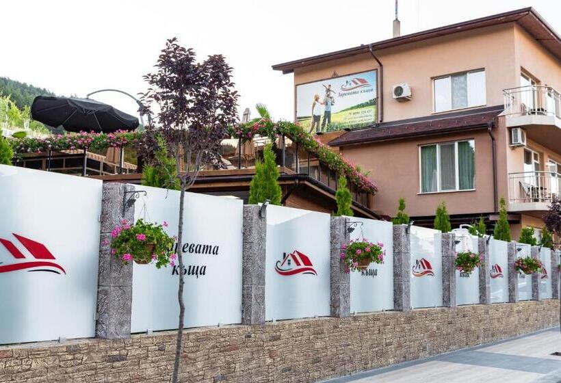 Pansiyon Zarevata Guest House