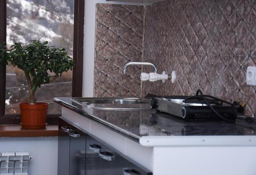 پانسیون Guesthouse Crown Of Tsaghkadzor