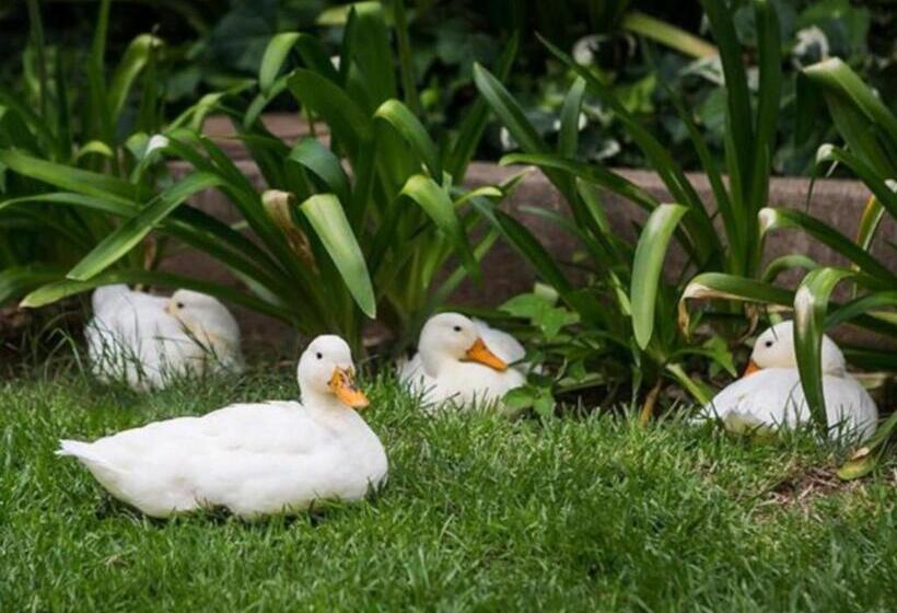 פנסיון Oude Pastorie