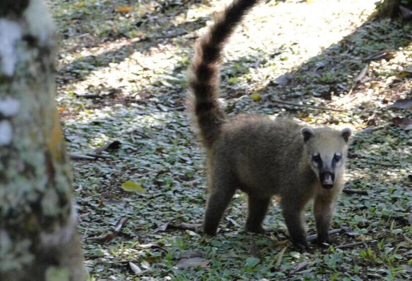 Hotel Yasí Yateré Reserva Agroecológica
