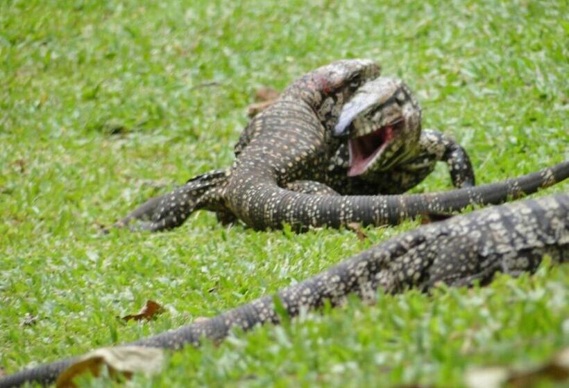 Hotel Yasí Yateré Reserva Agroecológica