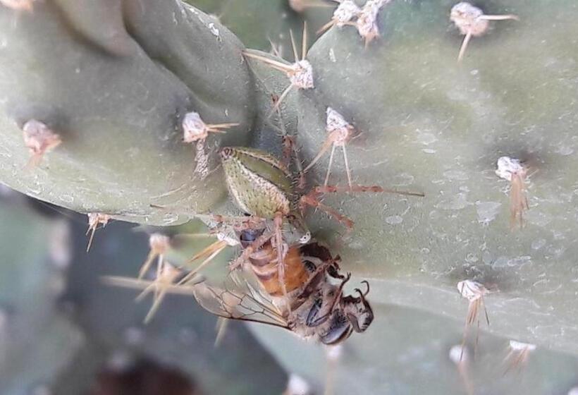 پانسیون Hudup Guesthouse