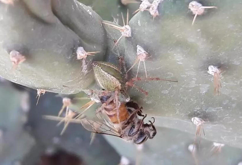 پانسیون Hudup Guesthouse