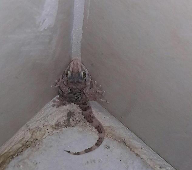 پانسیون Hudup Guesthouse