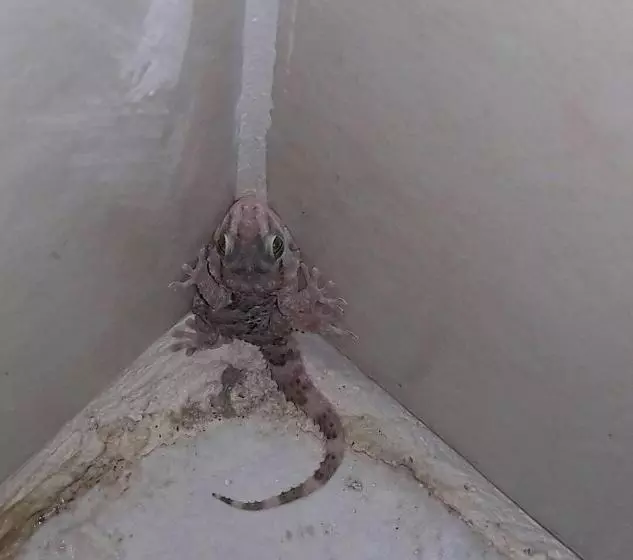 پانسیون Hudup Guesthouse