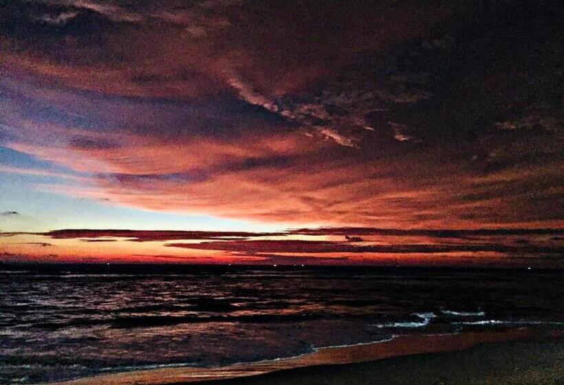 Pension Araliya Suite Inn