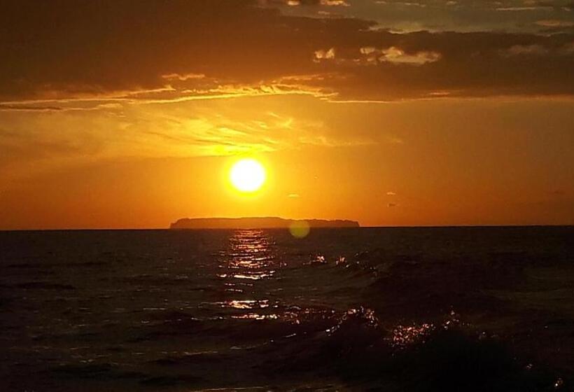 پانسیون Casita Happy Feet And Tours Corcovado