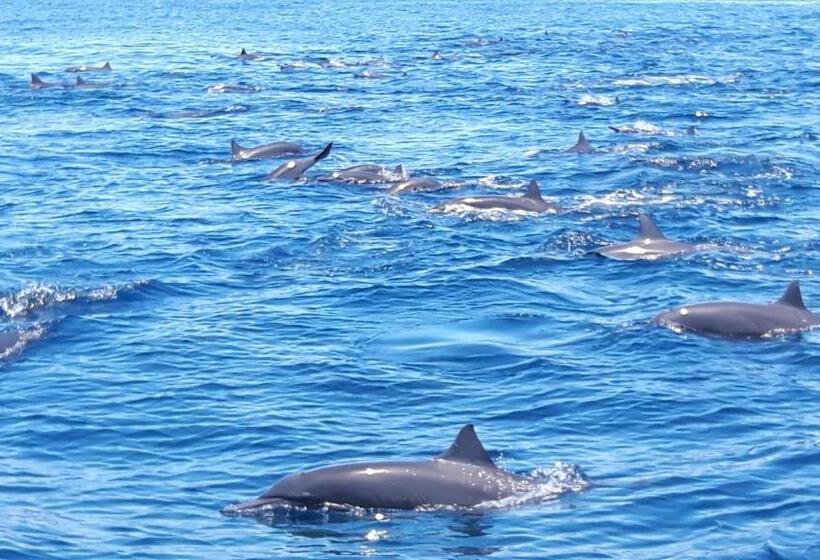 پانسیون Casita Happy Feet And Tours Corcovado