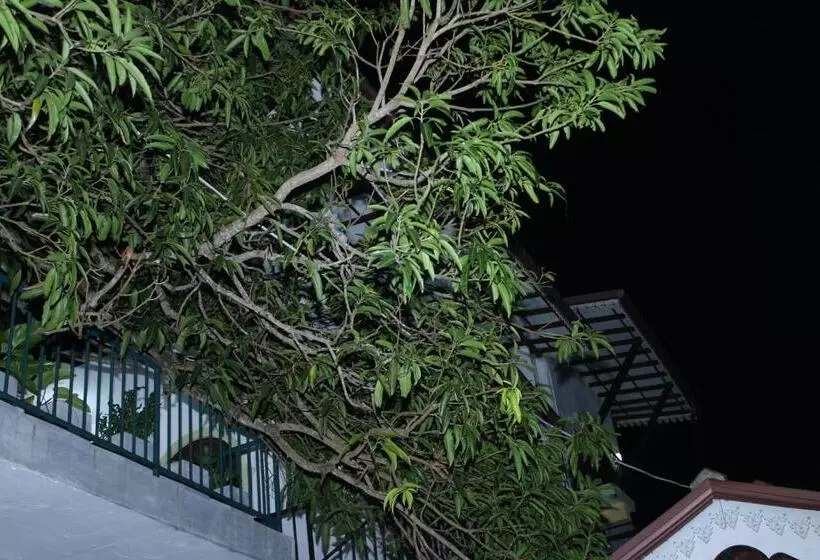 Majatalo Villa Mango Tree