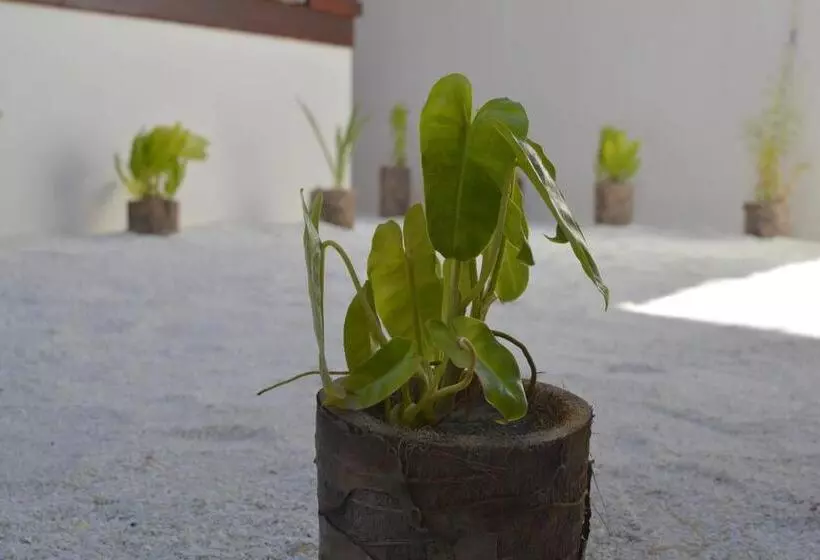 پانسیون Noomuraka Inn