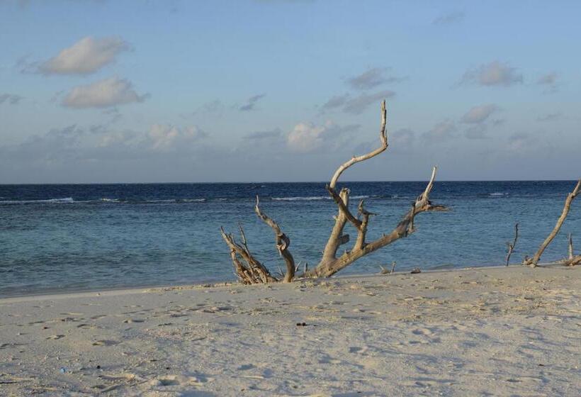 Pensjonat Noomuraka Inn